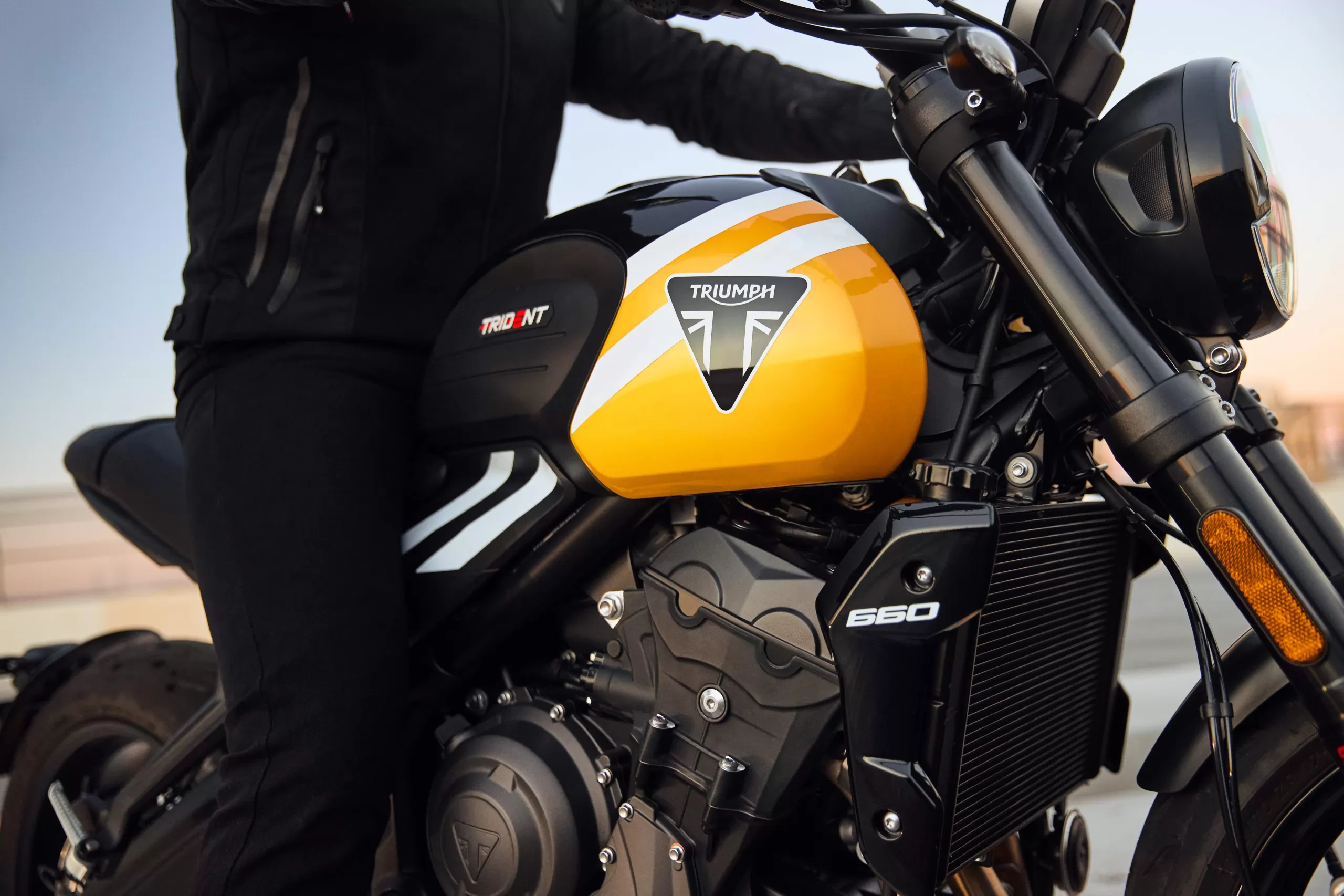 2025 Triumph Trident 660 tank